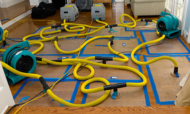Professional Crawl Space Water Removal technician working in Cameron, SC